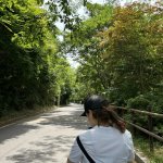Gwangju veni vidi vici ?
