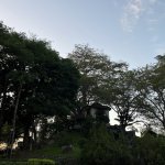 Taichung où la culture rayonne
