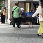Bye bye Taïwan