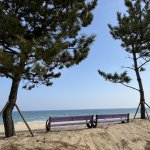 Sea, « San » and Sun