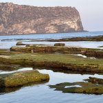 Jeju l’île des mandarines