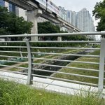Daegu... et des couleurs !