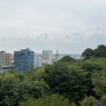Gwangju veni vidi vici ?