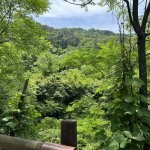 Gwangju veni vidi vici ?