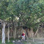 Tainan ou la ville des forts