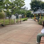 Daegu... et des couleurs !