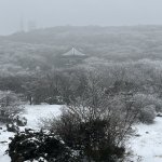 Jeju l’île des mandarines