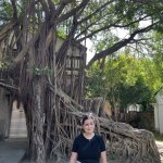 Tainan ou la ville des forts