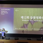 Seoul forever !